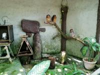 Vogelpark Kuala Lumpur Malaysia