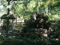 Vogelpark Kuala Lumpur Malaysia