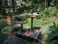 Vogelpark Kuala Lumpur Malaysia