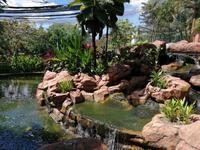 Vogelpark Kuala Lumpur Malaysia