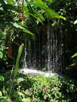 Schmetterlingsfarm Kuala Lumpur Malaysia