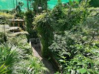 Schmetterlingsfarm Kuala Lumpur Malaysia