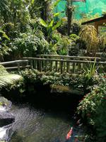 Schmetterlingsfarm Kuala Lumpur Malaysia