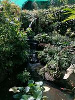 Schmetterlingsfarm Kuala Lumpur Malaysia