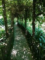 Schmetterlingsfarm Kuala Lumpur Malaysia