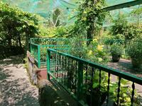 Schmetterlingsfarm Kuala Lumpur Malaysia