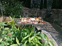 Schmetterlingsfarm Kuala Lumpur Malaysia