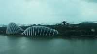 Aussicht auf die Gardens by the Bay vom Singapore Flyer (1)