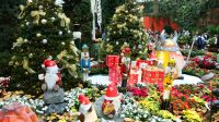 Flower Dome - Christmas Ausstellung (3)