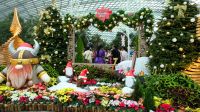 Flower Dome - Christmas Ausstellung (4)