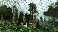 Flower Dome - Christmas Ausstellung (5)