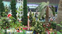 Flower Dome - Christmas Ausstellung (6)