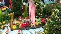 Flower Dome - Christmas Ausstellung (7)