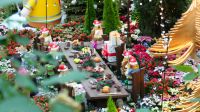 Flower Dome - Christmas Ausstellung (8)