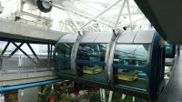 Riesenrad Singapore Flyer (1)