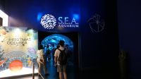 SEA Aquarium Sentosa Island (3)