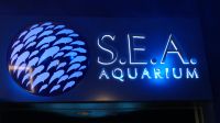SEA Aquarium Sentosa Island (4)