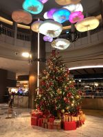 Hotel Grand Copthorne Waterfront (2)