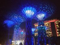 Supertree Grove, Musik- und Lichtshow 