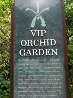 Orchideengarten 
