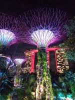 Supertree Grove, Musik- und Lichtshow 