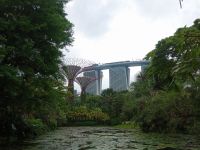 Garden by the bay 