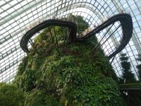 Cloud Forest 