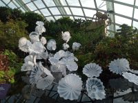 Kunst im Cloud Forest 
