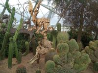Kunstwerke im flower dome