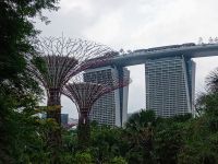 Garden by the bay 