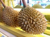 Durian