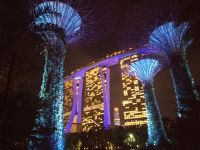 Supertree Grove, Musik- und Lichtshow 