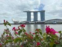 Blick auf Marina Bay Sands