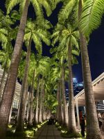 Palmen Marina Bay, jede Palme ist einem Land gewidmet, 2. links Deutschland