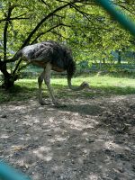 Vogelpark Kuala Lumpur