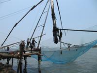 Wahrzeichen von Cochi: chinesische Fischernetze