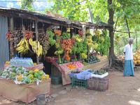 Obststand auf Sri Lanka - haben Sie schon einmal rote Bananen gegessen?