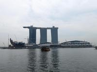 Hier entsteht der größte Dachgarten der Welt...