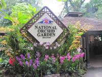 Orchideengarten von Singapur...