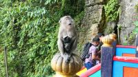 Batu Höhlen bei Kuala Lumpur (11)