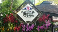 Botanischer Garten - Orchideen Garten (1)