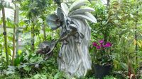 Botanischer Garten - Orchideen Garten (17)