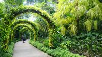 Botanischer Garten - Orchideen Garten (28)