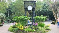 Botanischer Garten - Orchideen Garten (30)