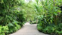 Botanischer Garten - Orchideen Garten (9)