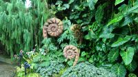 Cloud Forest - Avatar Ausstellung (4)