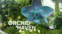 Cloud Forest - Avatar Ausstellung (9)