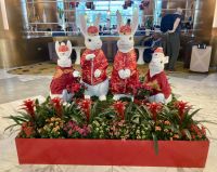 Dekoration Grand Copthome Waterfront