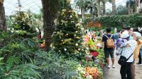 Flower Dome - Christmas Ausstellung (1)