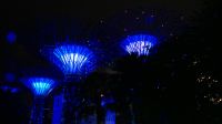 Garden Raphosdie Lichtshow an den Supertrees (4)